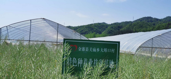 千赢国际qyh